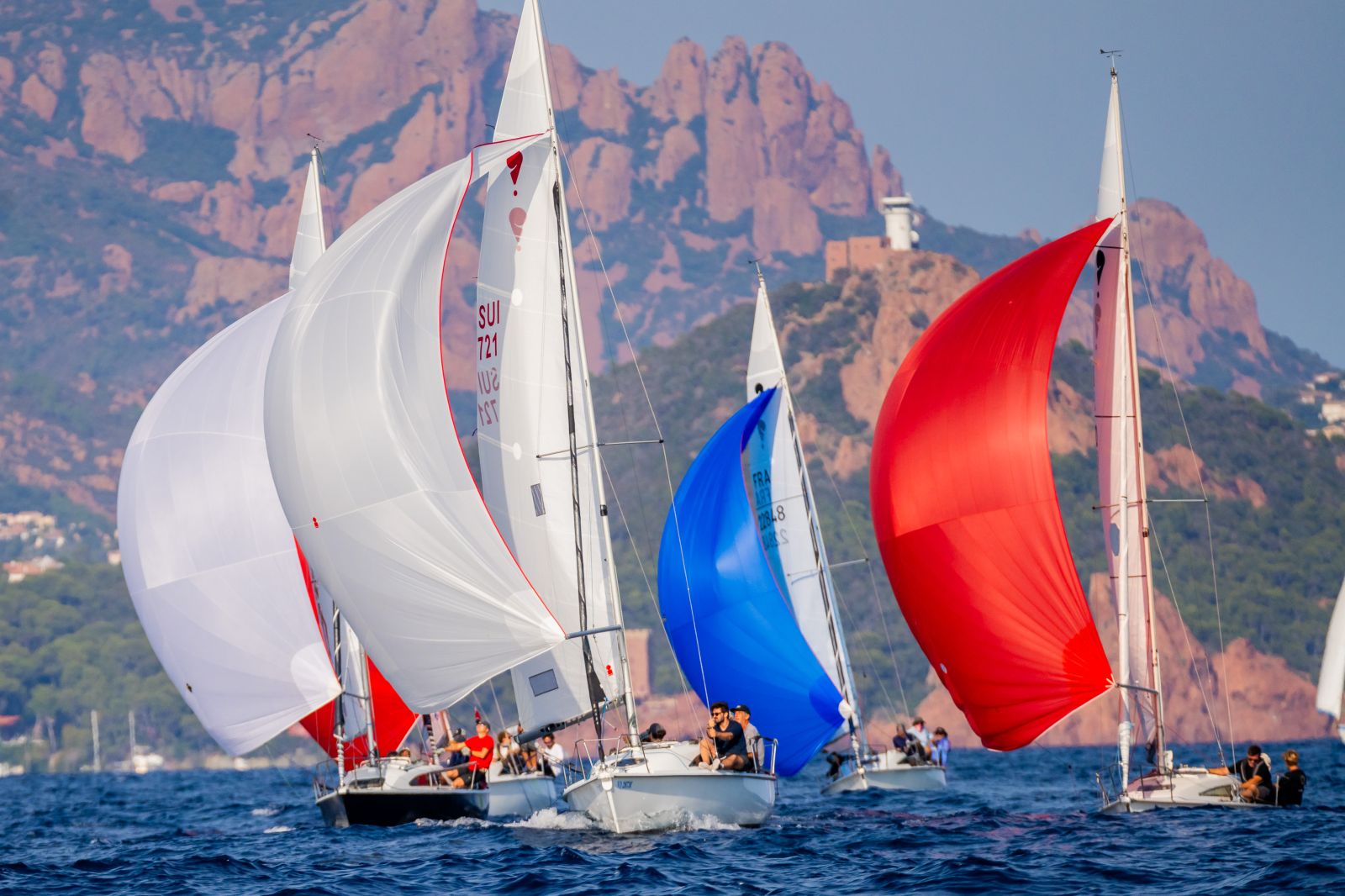 Flotte de Surprise sous spinnaker devant les roches rouges de l’Estérel