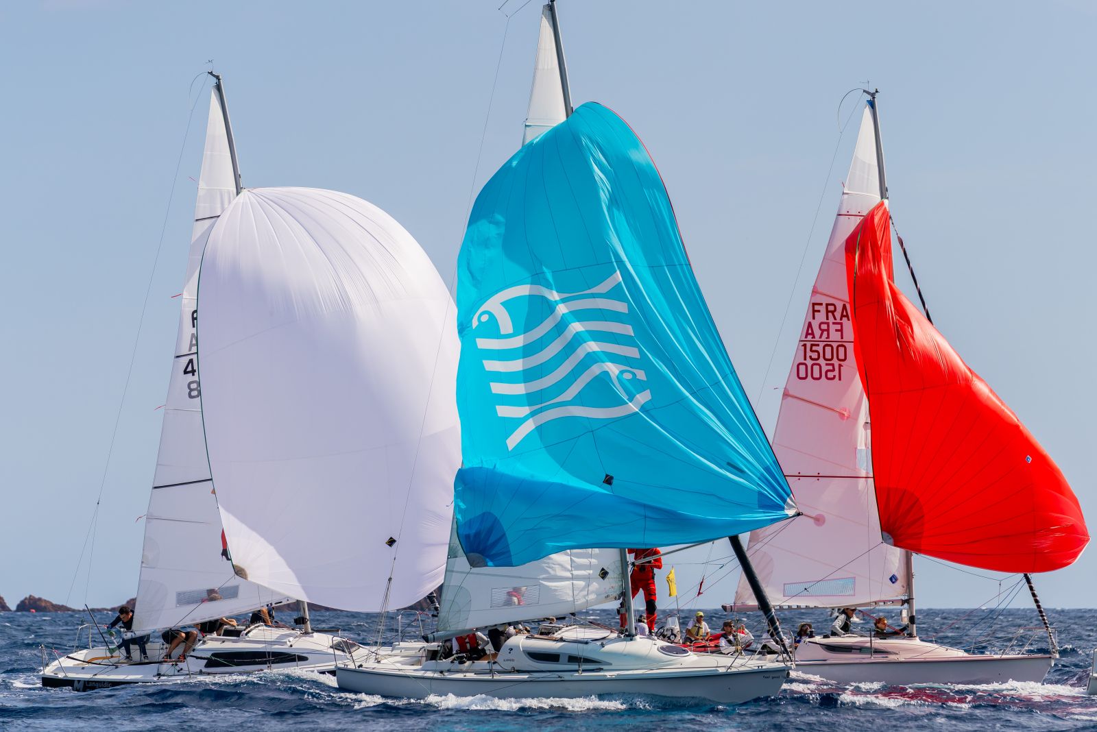 Championnat d’Europe Surprise, Saint-Raphaël, 2026